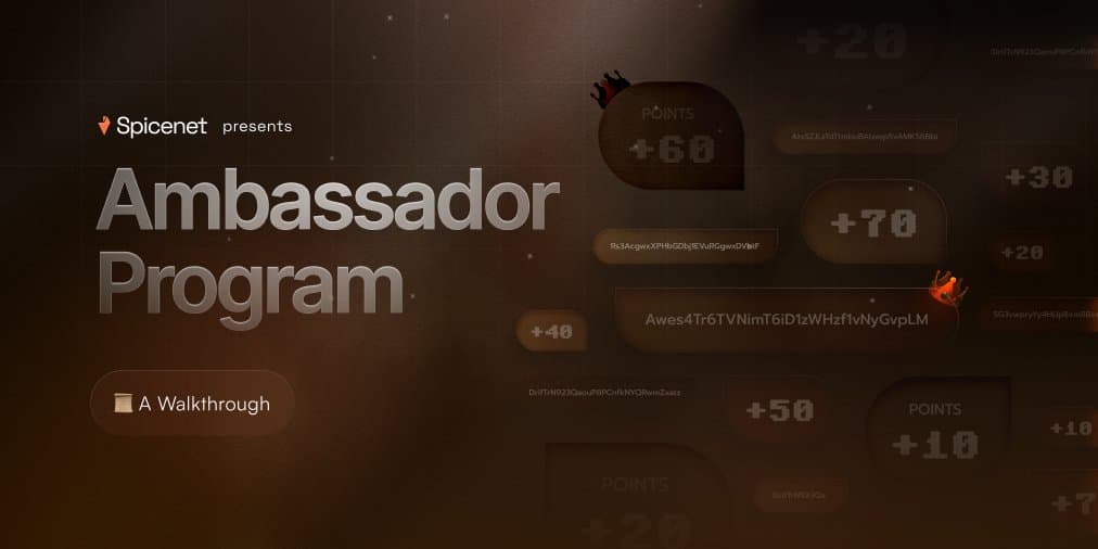 Ambassador Program 1.0 (2024)